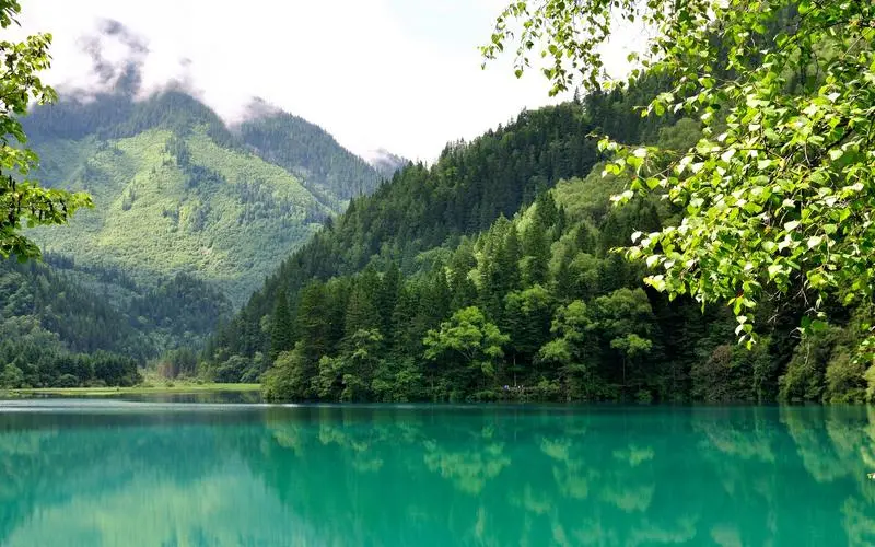 高效智能化高端